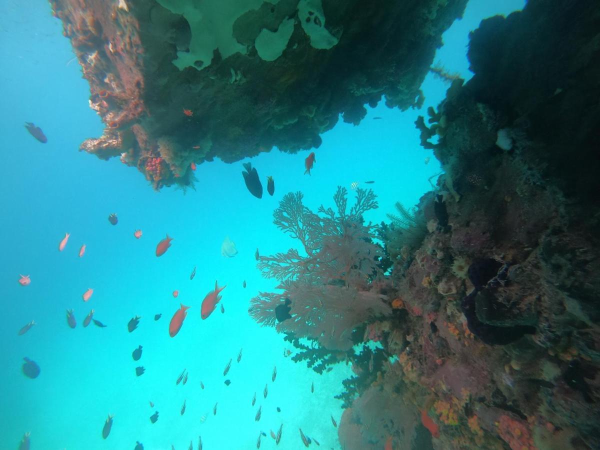 Fam Meos Ambower Homestay Raja Ampat מראה חיצוני תמונה