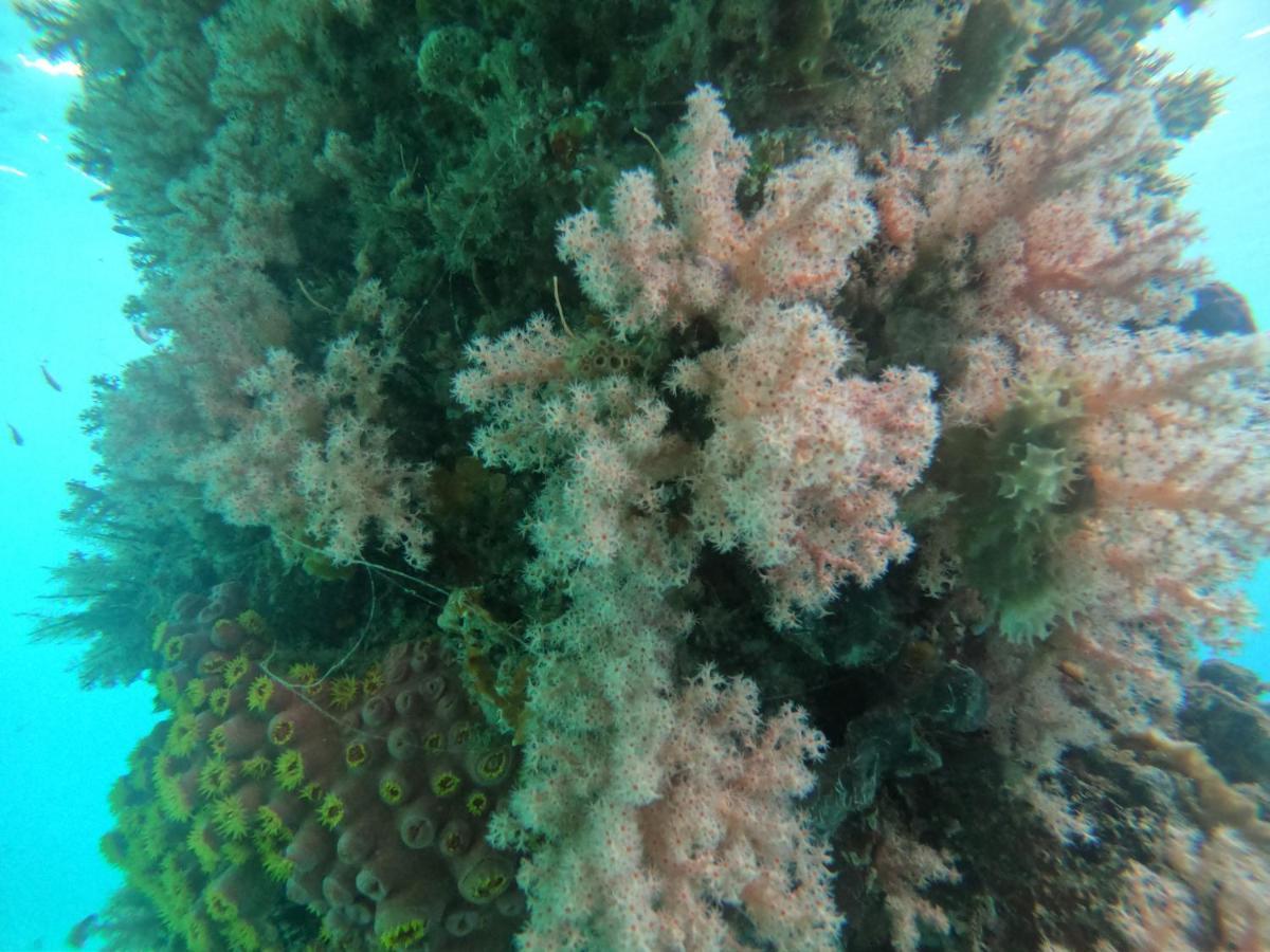 Fam Meos Ambower Homestay Raja Ampat מראה חיצוני תמונה